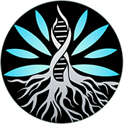 کلینیک مایسل مشهد|درمان ناباروری،پوست‌و‌مو‌ و ارتوپدیبا رویکرد نویین