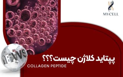 روش جوانسازی پپتاید کلاژن چیست؟ بررسی علمی مکانیسم و کاربردها
