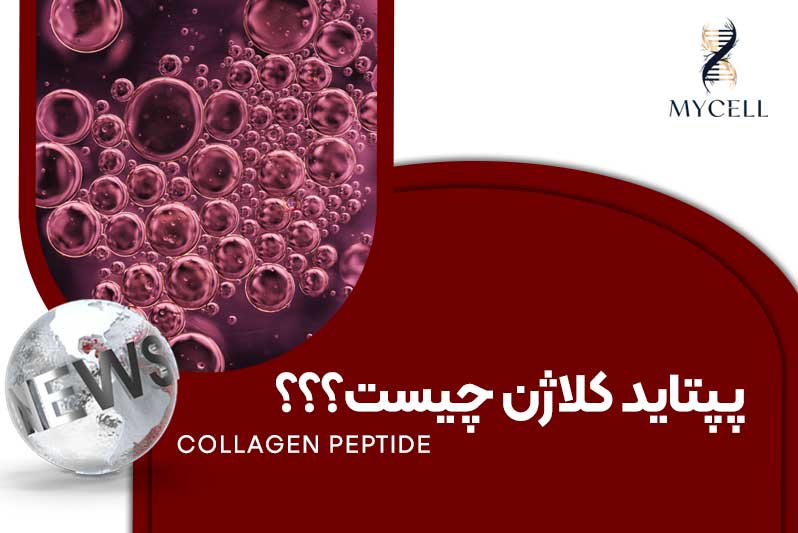 روش جوانسازی پپتاید کلاژن چیست؟ بررسی علمی مکانیسم و کاربردها