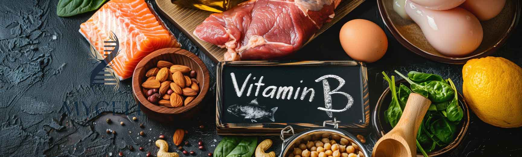 گروه ویتاکین های B